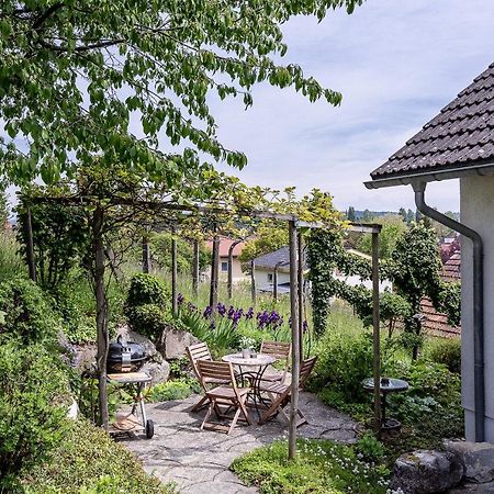 Zimmer Paradiso Бюзинген-на-Верхнем-Рейне Экстерьер фото