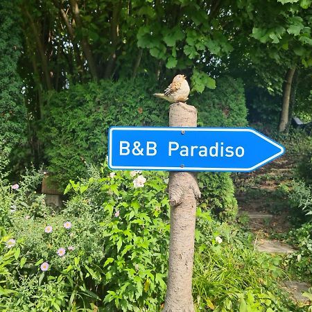 Zimmer Paradiso Бюзинген-на-Верхнем-Рейне Экстерьер фото